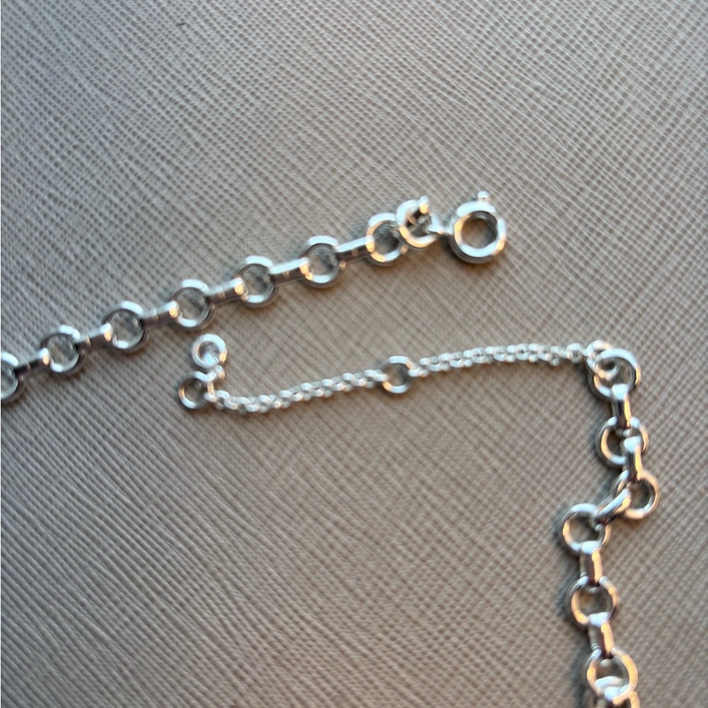 Roll Link Clean Silver Chain Necklace Nordstrom Brand - Picture 6 of 8